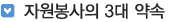 자원봉사자의3대약속