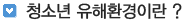 청소년유해환경이란
